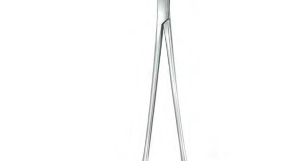 Martin Cartilage Seizing Forceps - Medicta Instruments