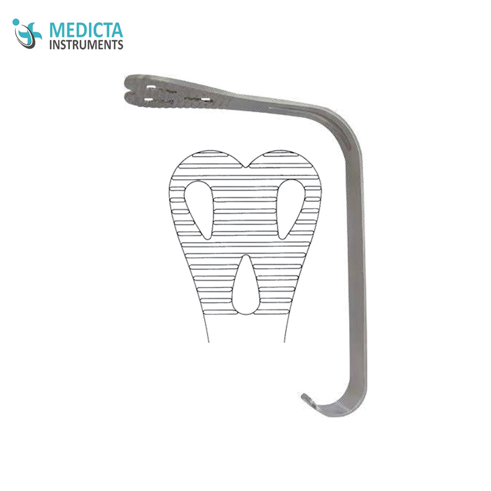 WIEDER Mouthgags, Cheek Retractors 15 cm/6” 45 mm