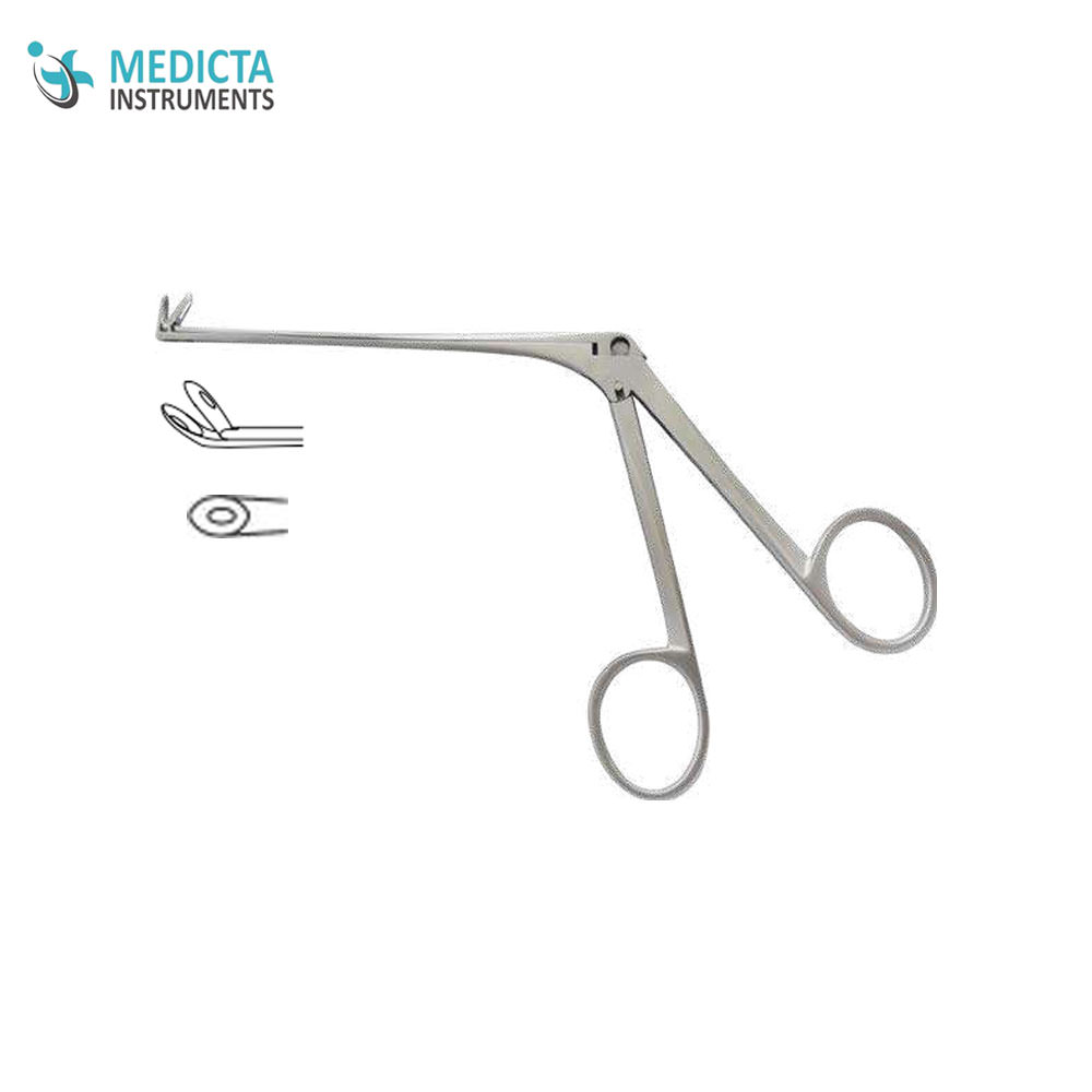 https://medictainstruments.com/image/cache/catalog/ent-instruments/nasal-cutting-forceps/41-1256-01-1000x1000.jpg