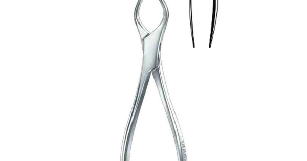 Cottle Walsham Septum Forceps 16 Cm 6 Right Medicta Instruments